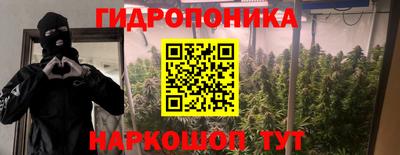 амф Будённовск
