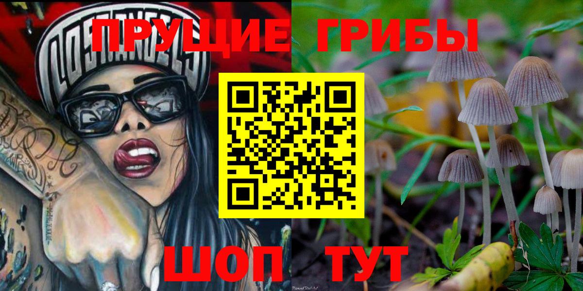 Галлюциногенные грибы Psilocybine cubensis Одинцово